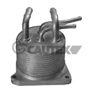 751808 CAUTEX