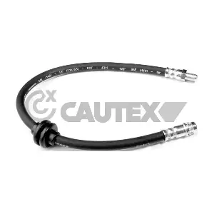 755982 CAUTEX