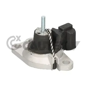020484 CAUTEX