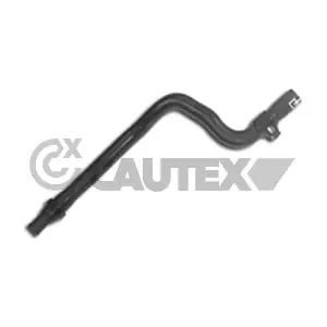 021229 CAUTEX
