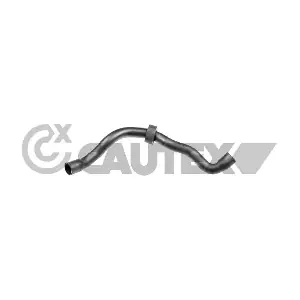 771679 CAUTEX
