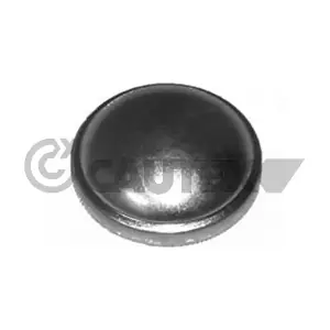 951017 CAUTEX