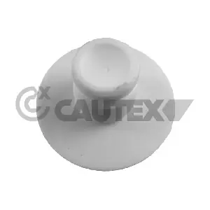 769913 CAUTEX