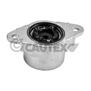 CAUTEX 081223