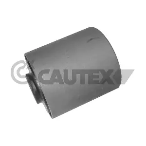 080140 CAUTEX