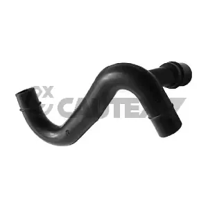 016079 CAUTEX