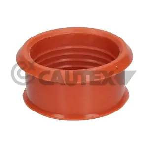 031466 CAUTEX