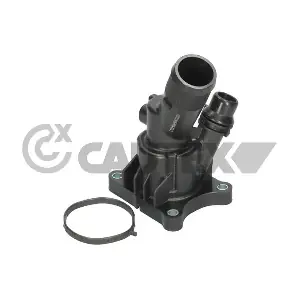 768166 CAUTEX