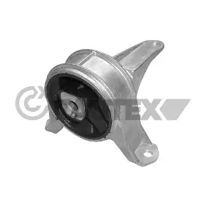 480488 CAUTEX