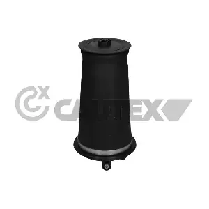 753484 CAUTEX