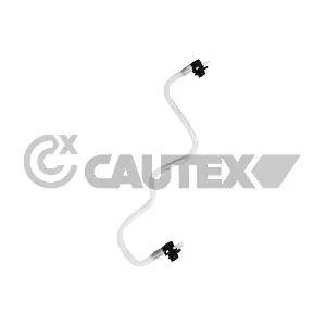 771315 CAUTEX