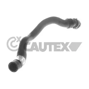 753565 CAUTEX