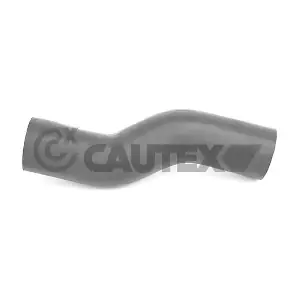 767039 CAUTEX