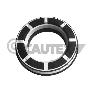 760606 CAUTEX
