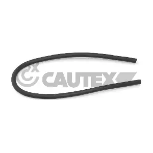 036386 CAUTEX