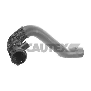 754106 CAUTEX