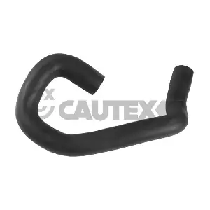 770962 CAUTEX