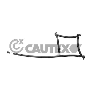 031706 CAUTEX