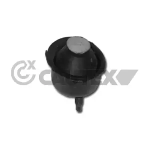 030303 CAUTEX