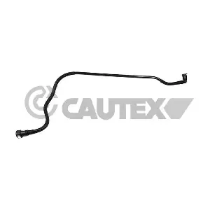 771353 CAUTEX