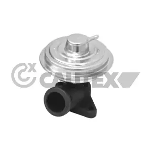 CAUTEX 772502