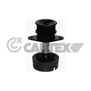081161 CAUTEX