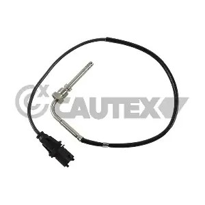 771148 CAUTEX