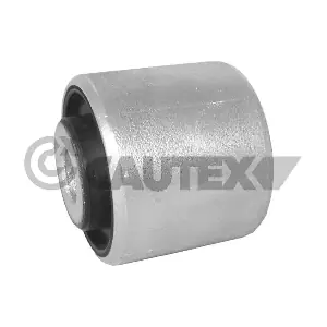 461153 CAUTEX