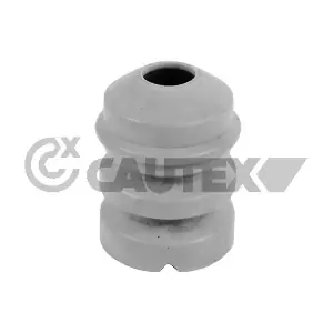 756958 CAUTEX