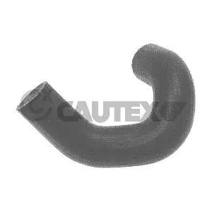 486040 CAUTEX