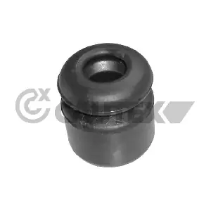 080213 CAUTEX