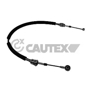 81135 CAUTEX