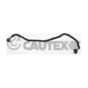 771343 CAUTEX