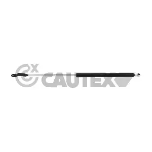 773043 CAUTEX