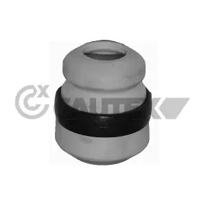 482517 CAUTEX