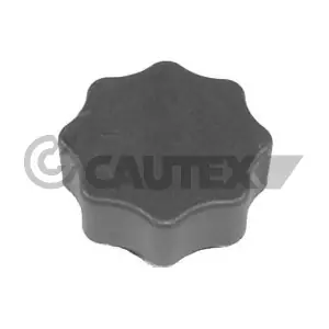 756762 CAUTEX