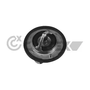 772163 CAUTEX