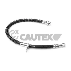 755864 CAUTEX