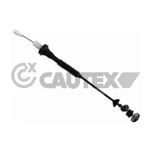 038213 CAUTEX