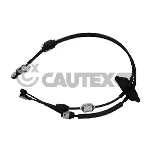 772628 CAUTEX