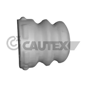 462441 CAUTEX
