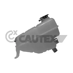 954120 CAUTEX