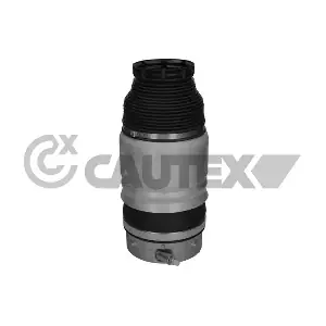 752943 CAUTEX