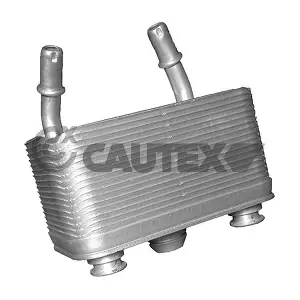 751734 CAUTEX