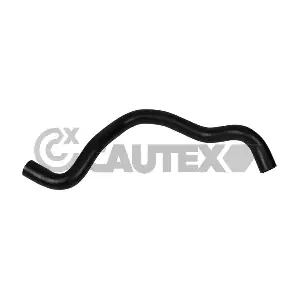 754186 CAUTEX