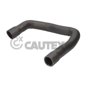 216021 CAUTEX