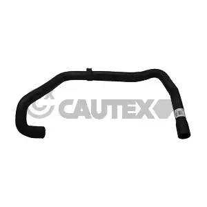 036245 CAUTEX