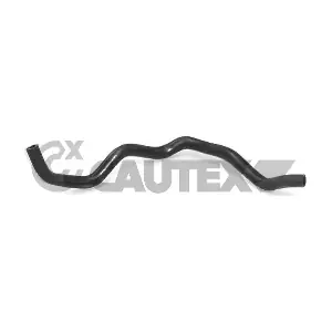 031087 CAUTEX