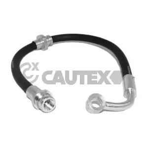 755793 CAUTEX