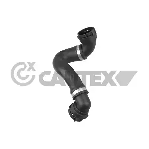 775453 CAUTEX